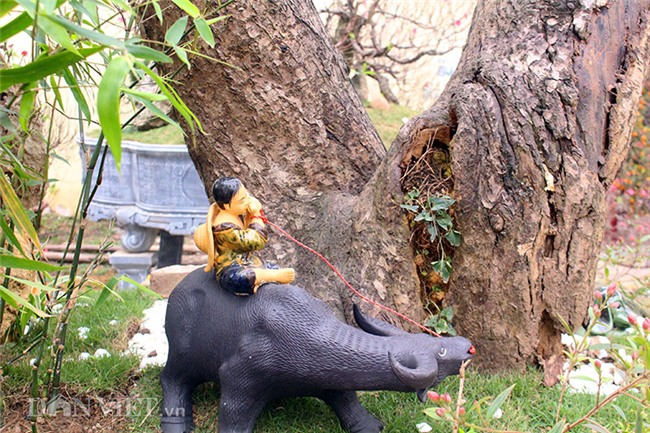 đào tết, cây cảnh, Thị trường tết