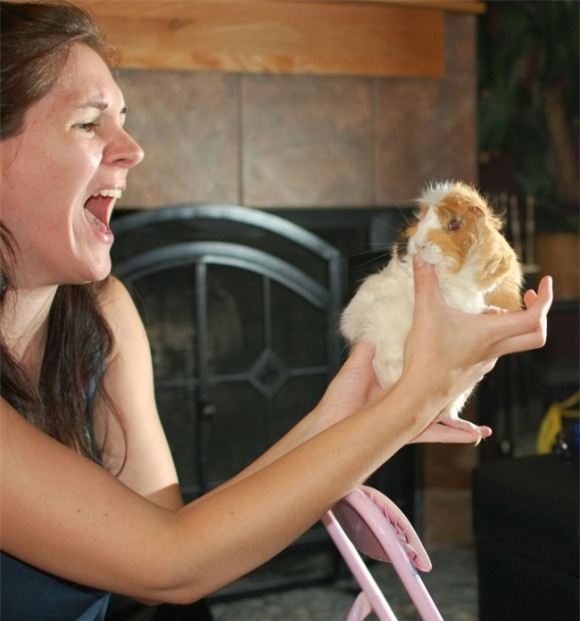 ảnh cười, vui thôi đừng vui quá, ảnh ngộ nghĩnh