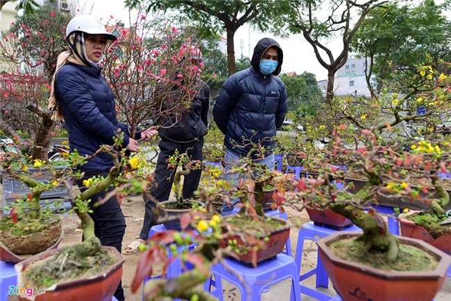 Nguoi Ha Noi tap nap di sam Tet som hinh anh 6