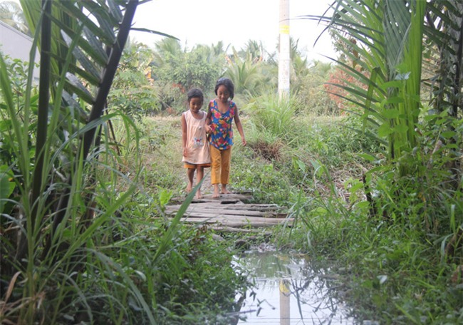 Xót cảnh 3 đứa trẻ không rành tiếng Việt theo bà cố đi lượm trái bàng về bán lấy tiền nuôi bà ngoại khùng - Ảnh 10.