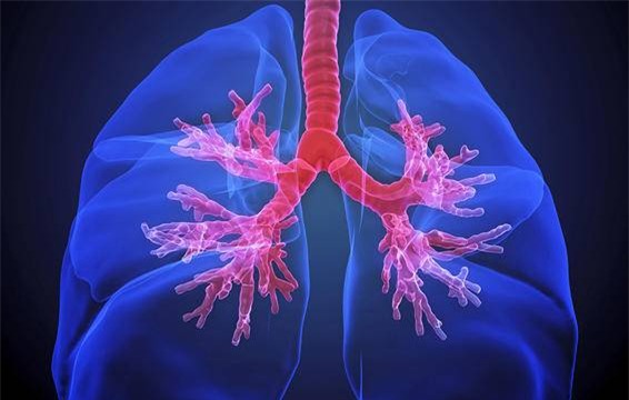 Những thay đổi về độ dày hay màu sắc của móng tay có thể là dấu hiệu của những vấn đề về sức khoẻ.-5