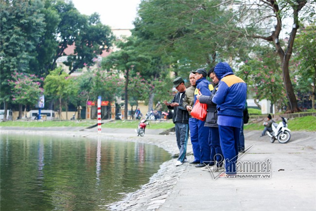 Canh giữ 24/24h, mất thiên nga là mất Tết