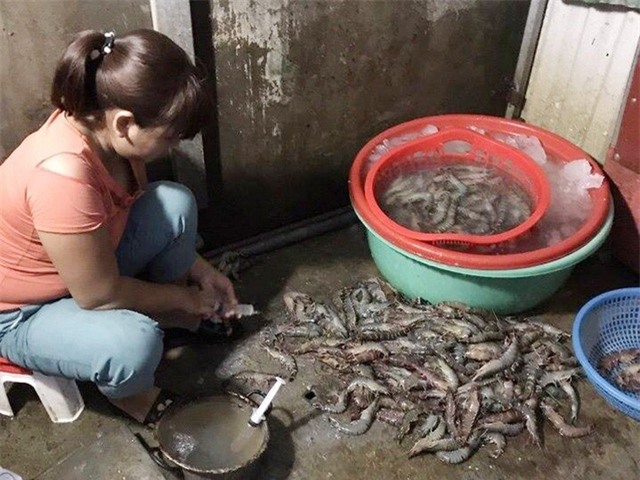 tiêm thuốc an thần vào lợn, thực phẩm bẩn, Bộ NN-PTNT, an toàn thực phẩm, tôm bơm tạp chất