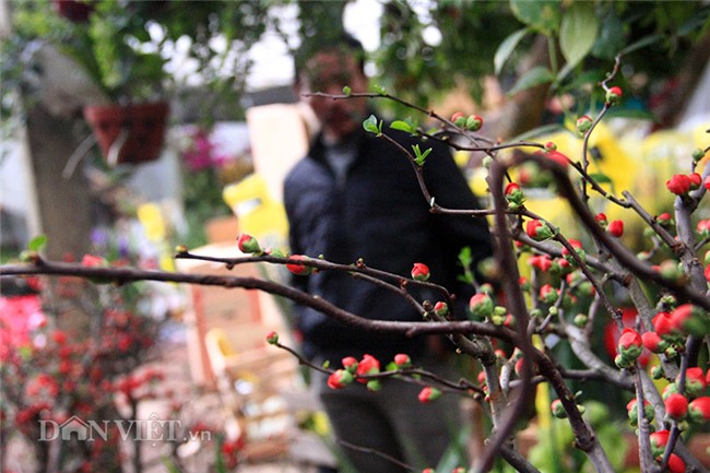 mai do “the nam sac bac” thu choi tet cuc la cua nhieu 