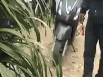 Người phụ nữ bỏ 5 triệu mua 2 chậu hoa lan giả bên trong cắm mấy chục cái tăm