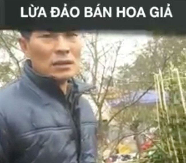 Người phụ nữ bỏ 5 triệu mua 2 chậu hoa lan giả bên trong cắm mấy chục cái tăm