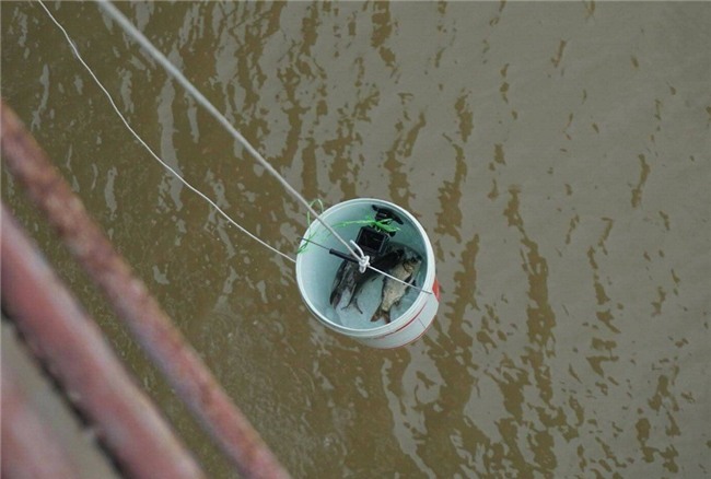 Thanh niên Hà thành kêu gọi Thả cá đừng thả túi nilon - Ảnh 5.