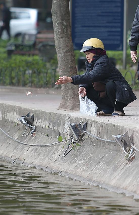 Tết ông Táo: Rét cắt da, em bé theo cha đi thả cá chép sáng sớm