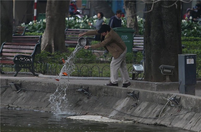 Tết ông Táo: Rét cắt da, em bé theo cha đi thả cá chép sáng sớm