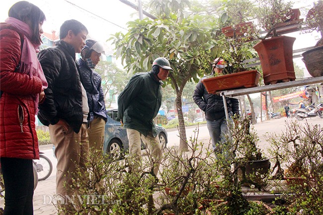 nhat chi mai “do bo” thu do don tet, muon phong thuy chi ngan do hinh anh 8