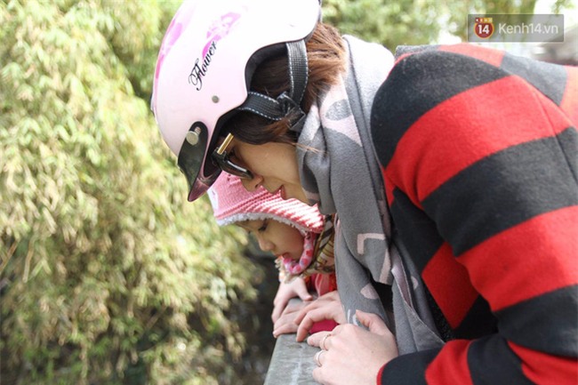 Clip: Cá chép tiễn Táo quân vừa bơi tới cầu Diễn đã bị chích điện lôi lên bờ - Ảnh 13.