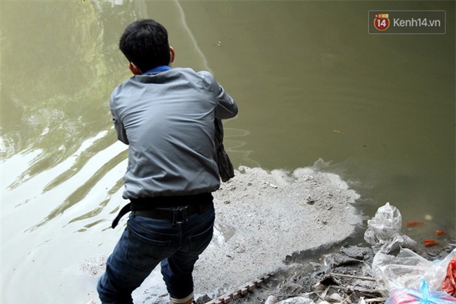 Clip: Cá chép tiễn Táo quân vừa bơi tới cầu Diễn đã bị chích điện lôi lên bờ - Ảnh 16.