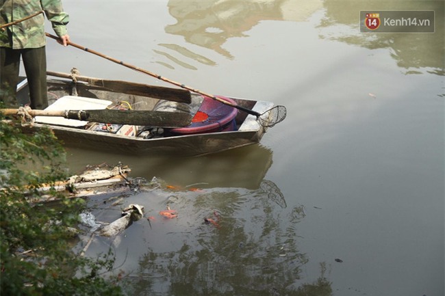 Clip: Cá chép tiễn Táo quân vừa bơi tới cầu Diễn đã bị chích điện lôi lên bờ - Ảnh 3.