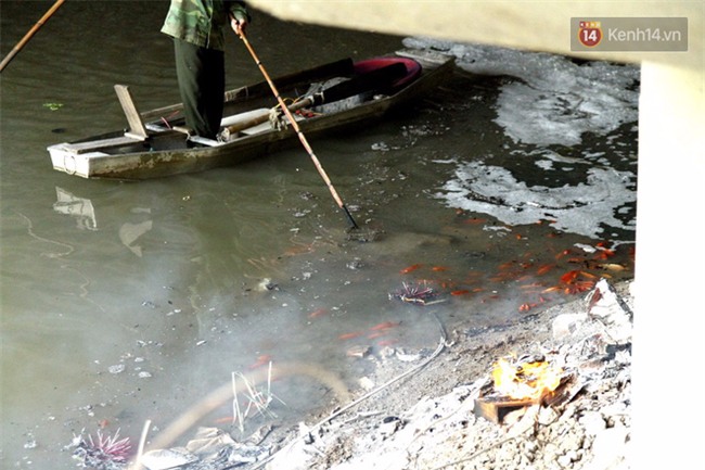 Clip: Cá chép tiễn Táo quân vừa bơi tới cầu Diễn đã bị chích điện lôi lên bờ - Ảnh 6.