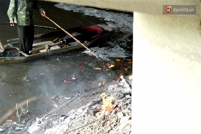 Clip: Cá chép tiễn Táo quân vừa bơi tới cầu Diễn đã bị chích điện lôi lên bờ - Ảnh 7.
