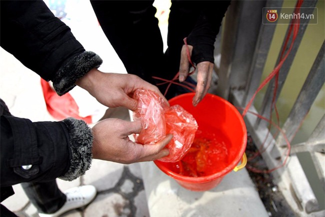 Clip: Cá chép tiễn Táo quân vừa bơi tới cầu Diễn đã bị chích điện lôi lên bờ - Ảnh 9.