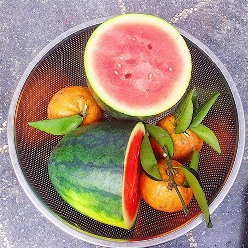 - Dưa rửa sạch, cắt miếng tùy ý hoặc cắt thanh nhỏ (như hình).