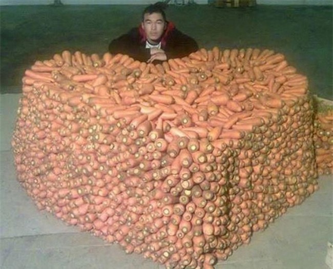 "chet ngat" voi nhung hinh anh "truat" nhat qua dat hinh anh 10