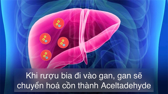 Chuyên gia tiết lộ: Uống rượu lâu say, uống bao nhiêu là đủ?-1