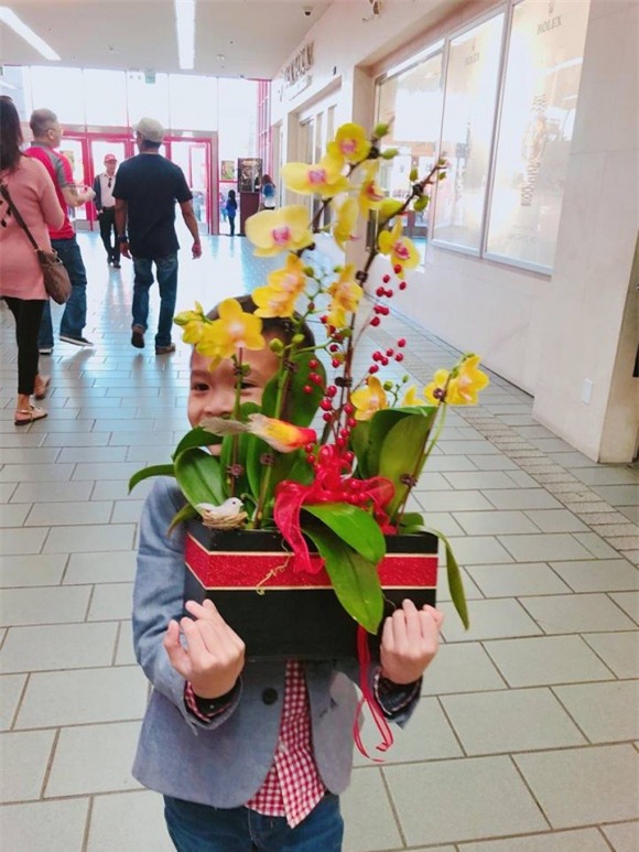 nhà sao, nhà sao việt, sao việt dọn nhà đón tết