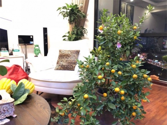 nhà sao, nhà sao việt, sao việt dọn nhà đón tết