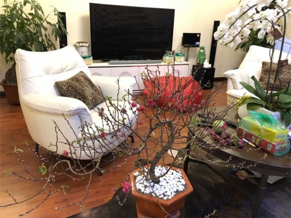 nhà sao, nhà sao việt, sao việt dọn nhà đón tết