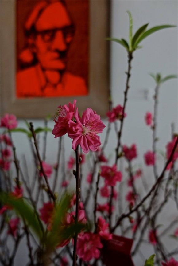 nhà sao, nhà sao việt, sao việt dọn nhà đón tết