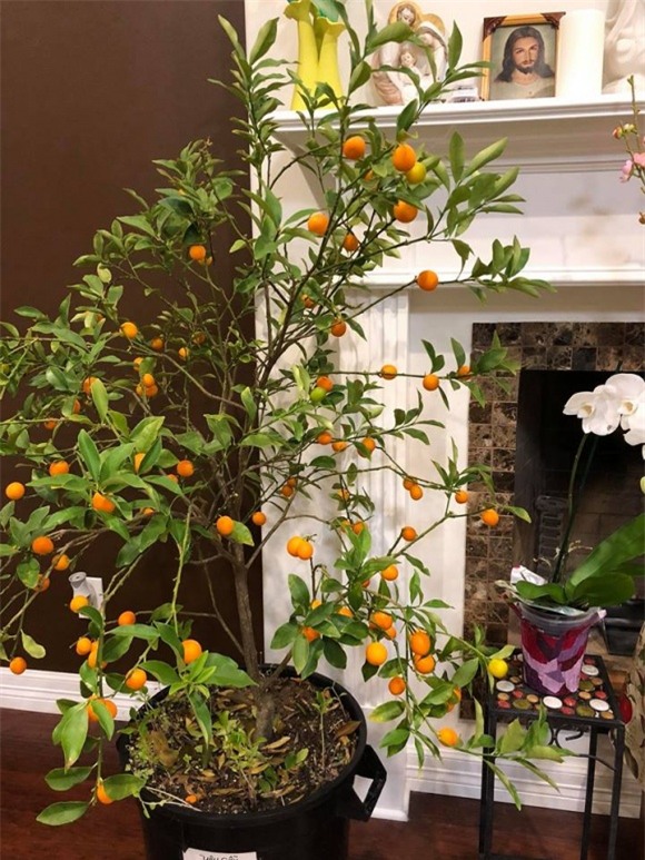 nhà sao, nhà sao việt, sao việt dọn nhà đón tết