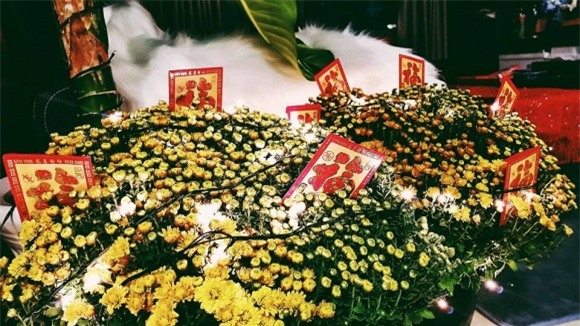 nhà sao, nhà sao việt, sao việt dọn nhà đón tết