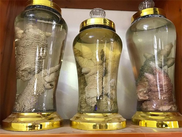 san chan ga dong tao 