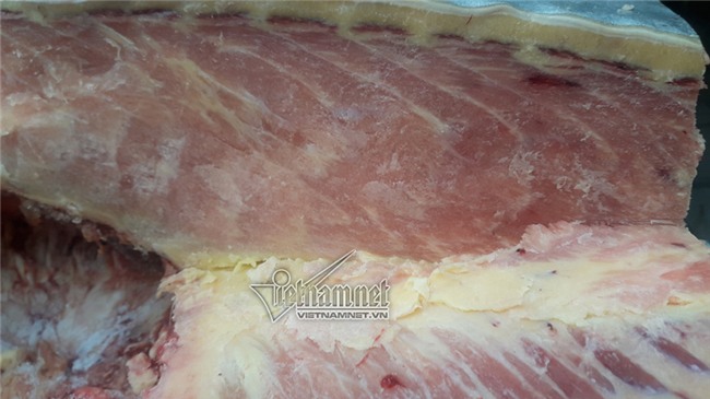 Đại gia,cá da trơn,thủy quái,campuchia,cá tra,me kông