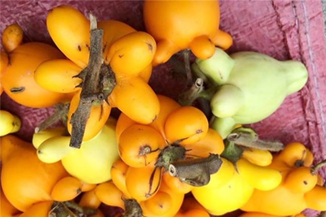 quả trưng Tết,thị trường Tết