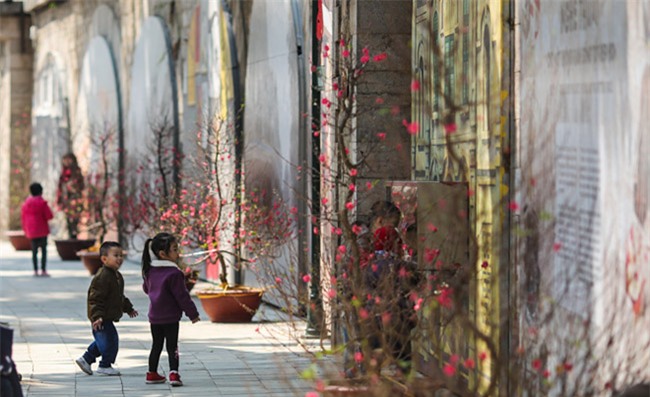 chang can di dau xa, giua ha noi cung co dia chi song ao tuyet dep dip tet nay hinh anh 11