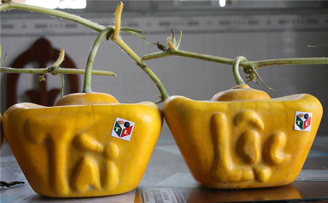 quả chưng tết,dưa hấu thỏi vàng,Cần Thơ,Tết Nguyên đán 2018