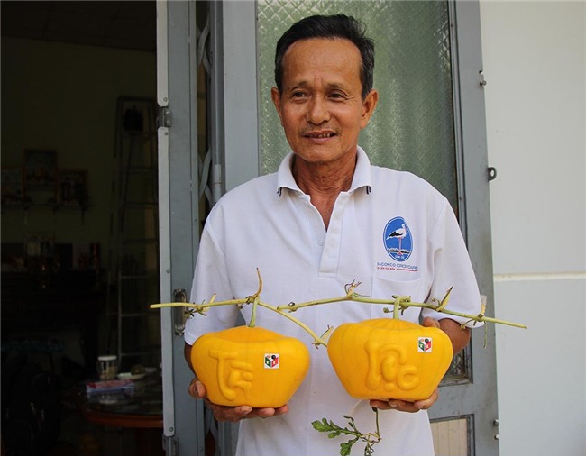 quả chưng tết,dưa hấu thỏi vàng,Cần Thơ,Tết Nguyên đán 2018