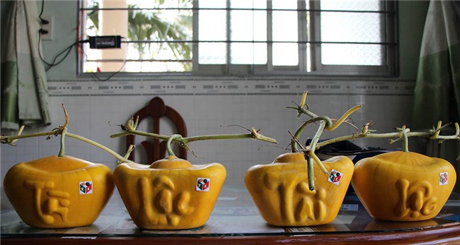 quả chưng tết,dưa hấu thỏi vàng,Cần Thơ,Tết Nguyên đán 2018