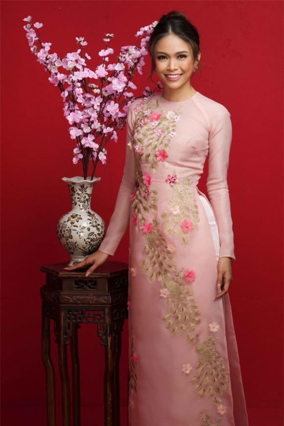 H'Hen Niê, Hoa hậu, Á hậu Hoàn vũ 2017