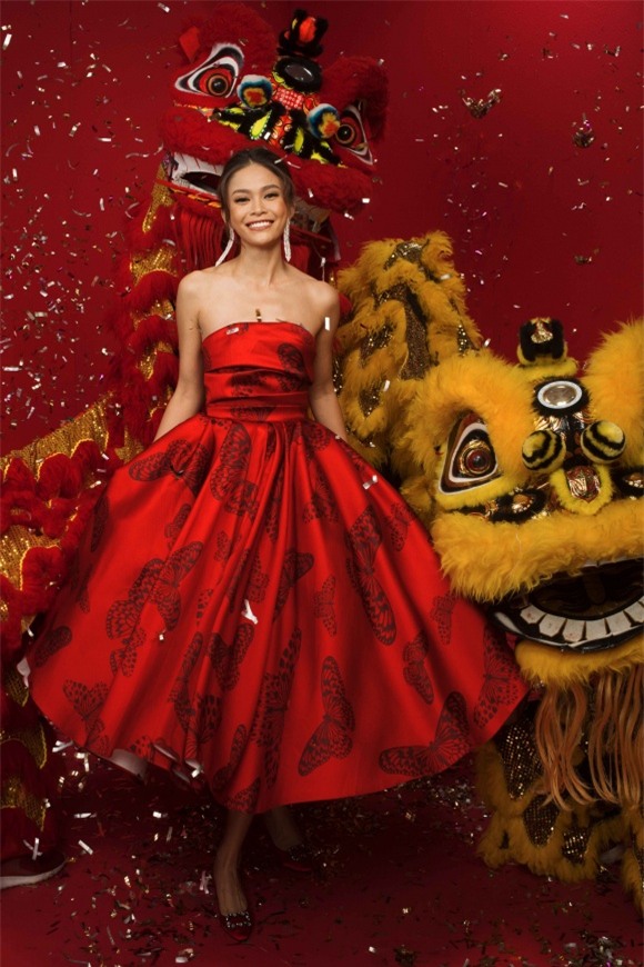 H'Hen Niê, Hoa hậu, Á hậu Hoàn vũ 2017