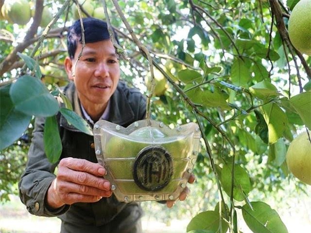 Làm 200 quả bưởi tài lộc, giá 1 triệu/cặp khách vẫn tranh nhau mua