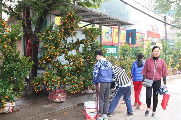 ha noi ngay 29 tet: noi tap nap ke den nguoi di, noi vang ve diu hiu den la thuong - 14