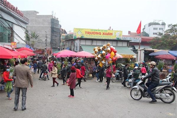 ha noi ngay 29 tet: noi tap nap ke den nguoi di, noi vang ve diu hiu den la thuong - 15