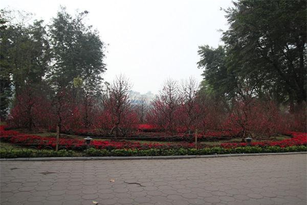 ha noi ngay 29 tet: noi tap nap ke den nguoi di, noi vang ve diu hiu den la thuong - 18