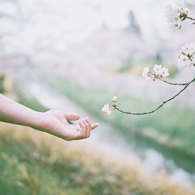 Nhìn lại một năm đã qua của 12 con giáp - Ảnh 1.