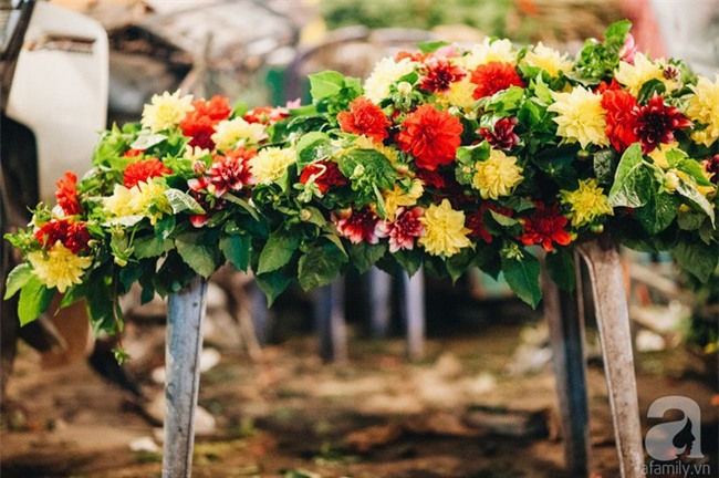 6 loại hoa cổ truyền chưa bao giờ hết hot mỗi độ Tết đến, xuân về - Ảnh 10.