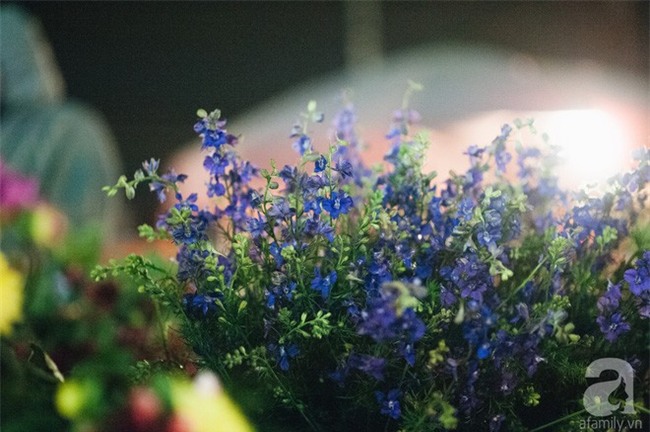 6 loại hoa cổ truyền chưa bao giờ hết hot mỗi độ Tết đến, xuân về - Ảnh 15.