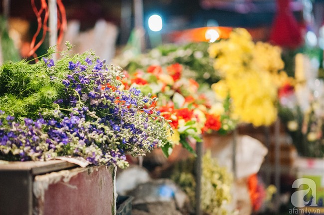 6 loại hoa cổ truyền chưa bao giờ hết hot mỗi độ Tết đến, xuân về - Ảnh 17.