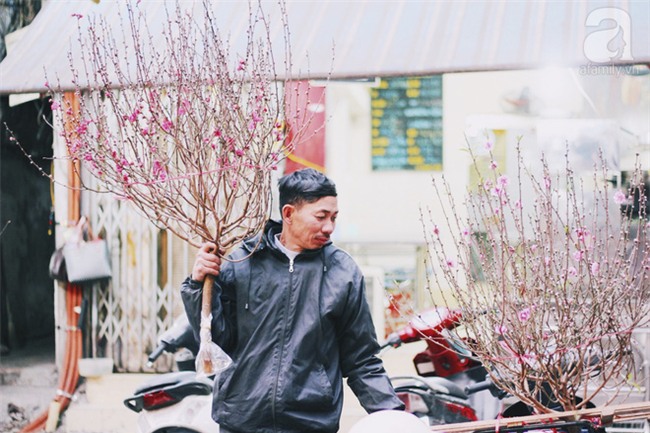 hoa nhìn là thấy tết - Ảnh 52.