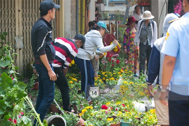 Câu chuyện đáng yêu về hai vợ chồng “dịu dàng giữa thịnh nộ”: Mang hoa ế 30 Tết trang trí cho vòng xoay ở Sài Gòn - Ảnh 1.