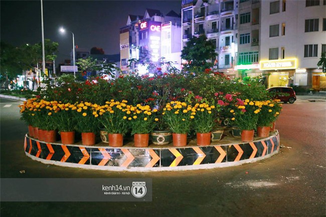 Câu chuyện đáng yêu về hai vợ chồng “dịu dàng giữa thịnh nộ”: Mang hoa ế 30 Tết trang trí cho vòng xoay ở Sài Gòn - Ảnh 5.