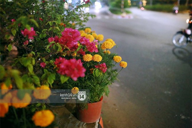 Câu chuyện đáng yêu về hai vợ chồng “dịu dàng giữa thịnh nộ”: Mang hoa ế 30 Tết trang trí cho vòng xoay ở Sài Gòn - Ảnh 7.